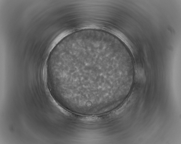 X0000113081290200909250942