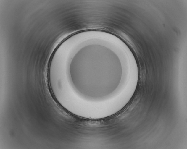 X0000113081291200909250942
