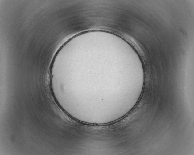 X0000113081292200909250942