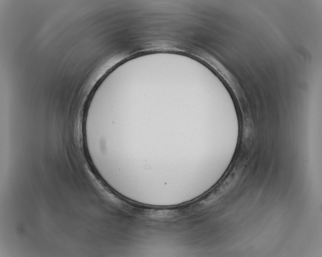 X0000113081293200909250942