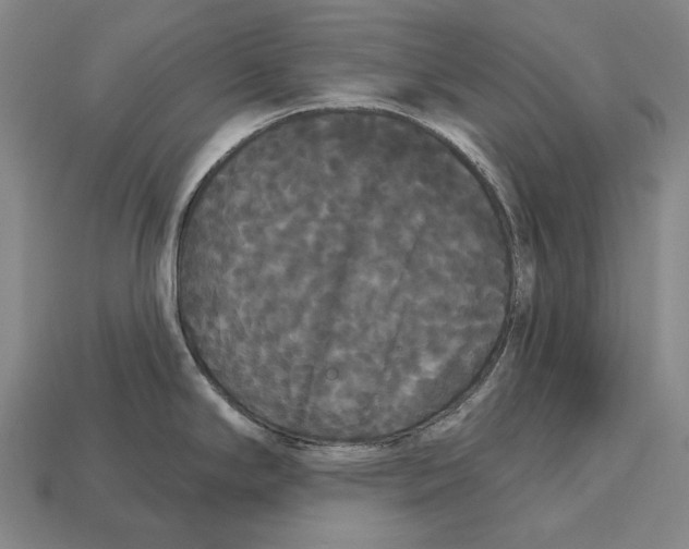 X0000113081294200909250942