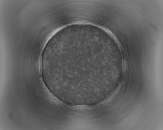 X0000113081295200909250942