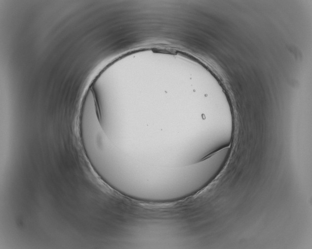 X0000113081296200909250942