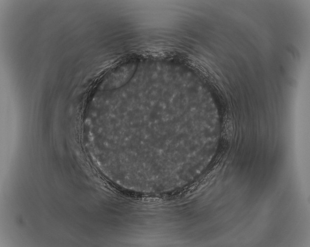 X0000113081297200909250941