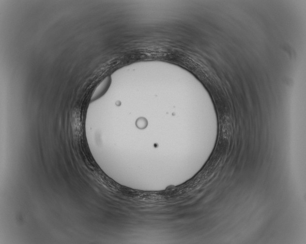 X0000113081298200909250941