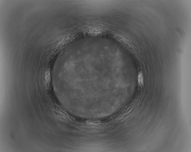X0000113081299200909250941