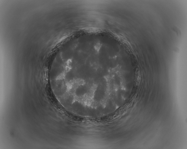 X0000113081301200909250941