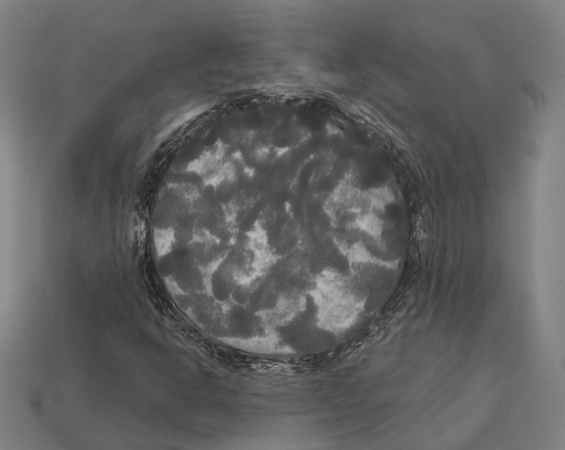 X0000113081302200909250941