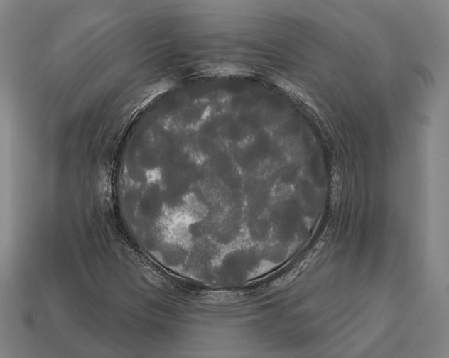 X0000113081305200909250941