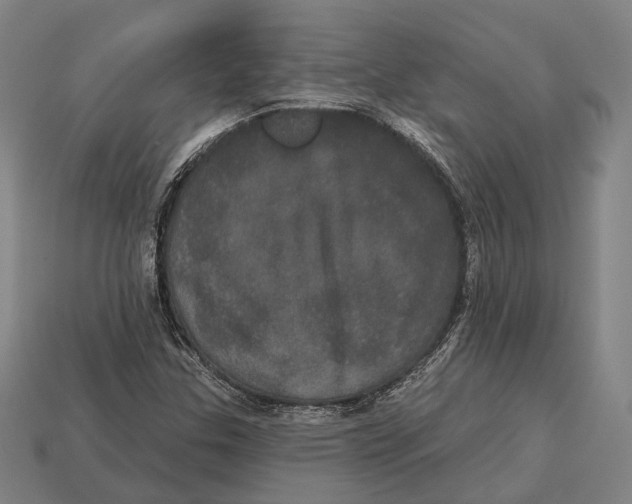 X0000113081307200909250941