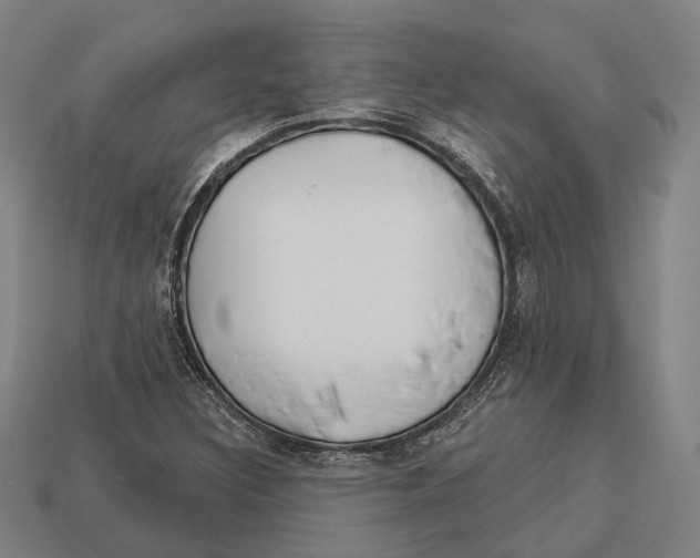 X0000113081308200909250941