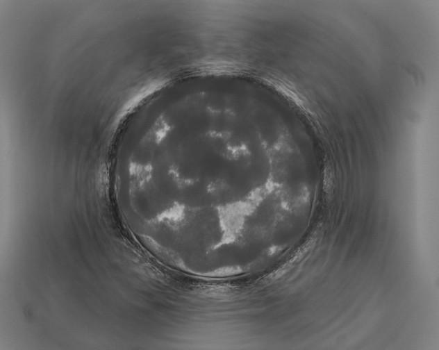 X0000113081309200909250941
