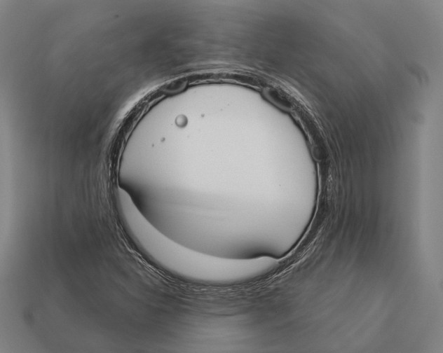 X0000113081310200909250941