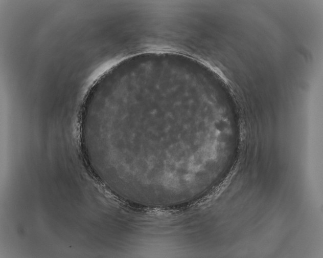 X0000113081311200909250941