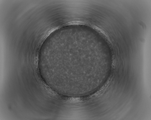 X0000113081313200909250941