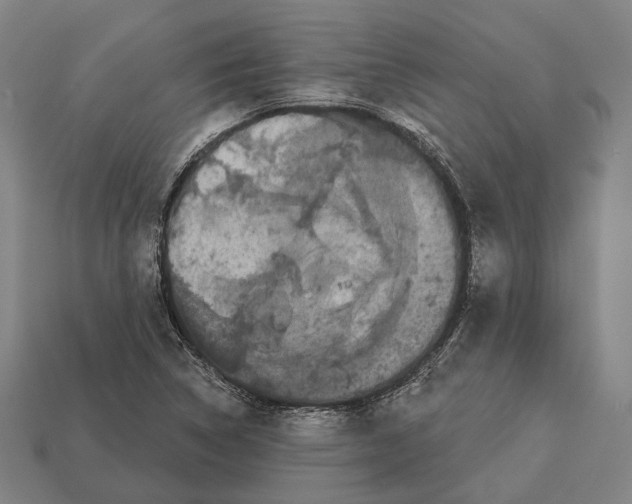 X0000113081314200909250941