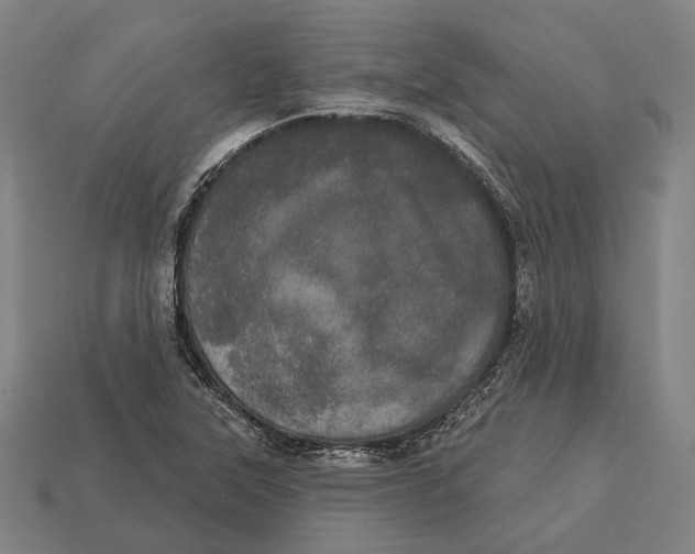 X0000113081315200909250941