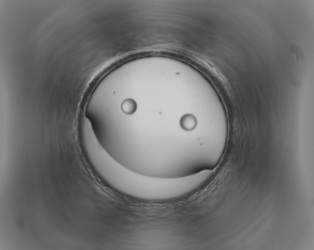 X0000113081316200909250941