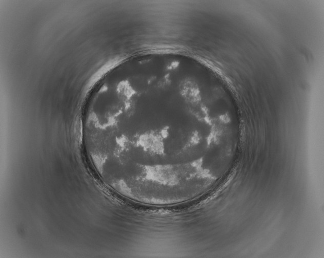 X0000113081317200909250941