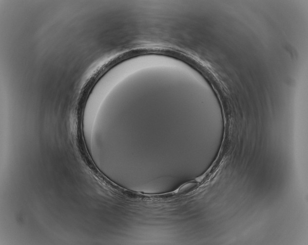 X0000113081319200909250941