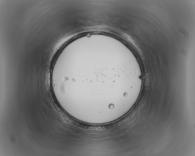 X0000113081320200909250941