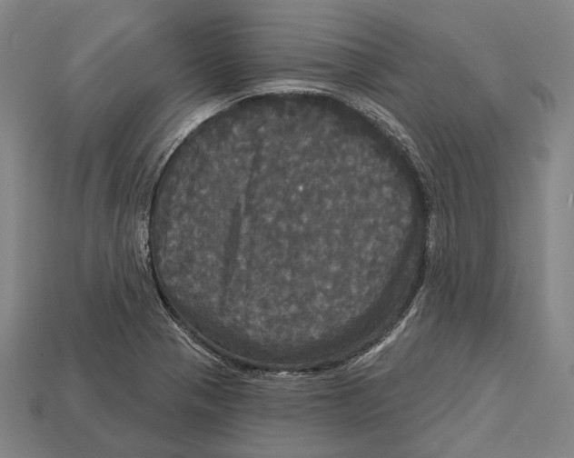 X0000113081321200909250941