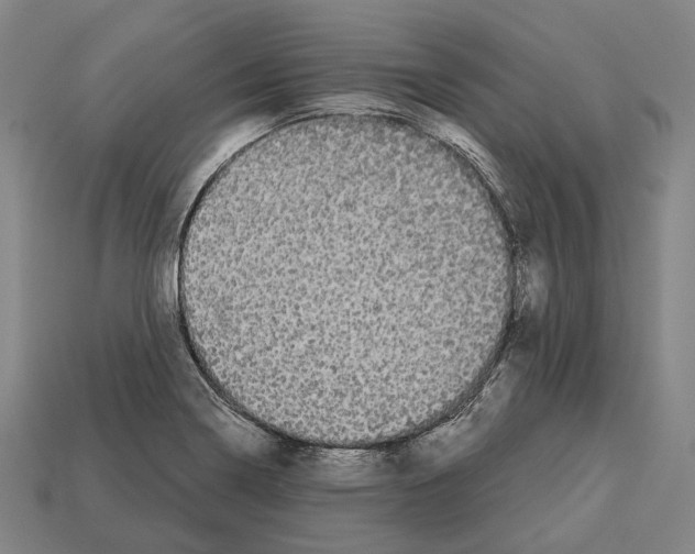X0000113081322200909250941