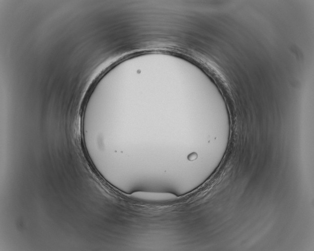 X0000113081324200909250941