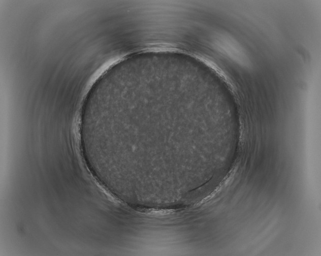 X0000113081325200909250941