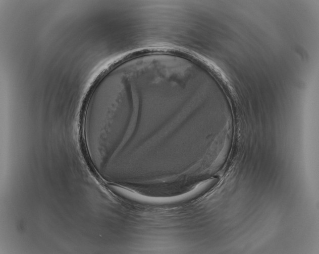 X0000113081327200909250941