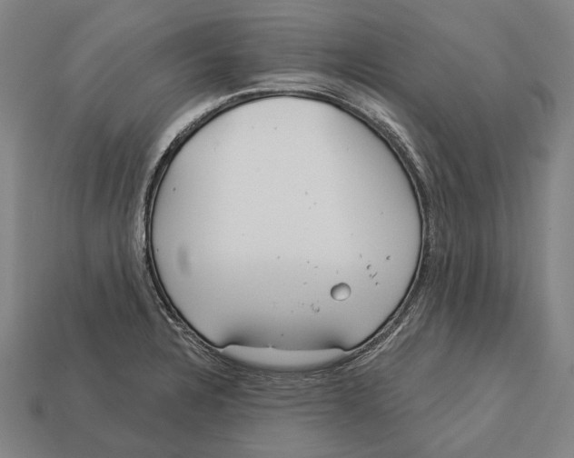X0000113081328200909250941