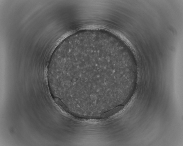 X0000113081329200909250941