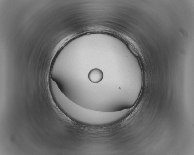 X0000113081330200909250942