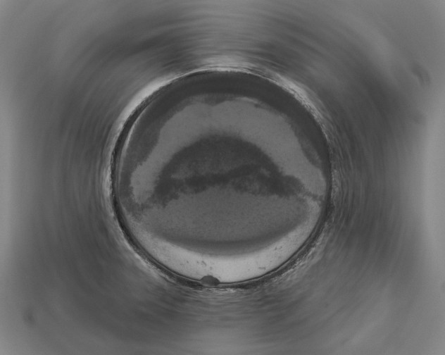 X0000113081331200909250942