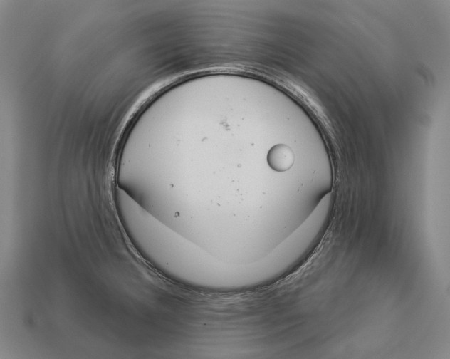 X0000113081332200909250942