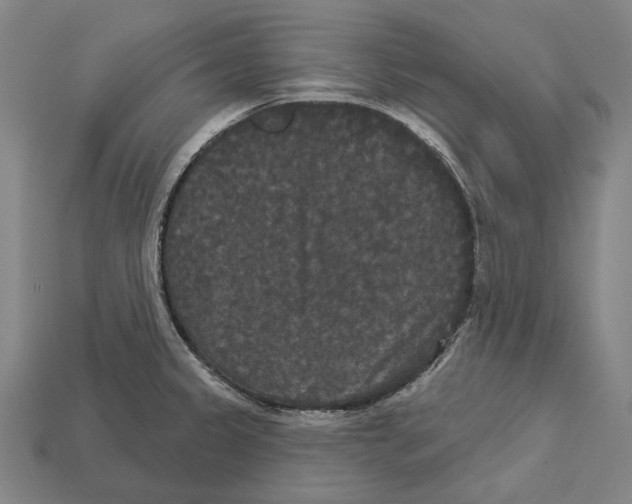 X0000113081333200909250942