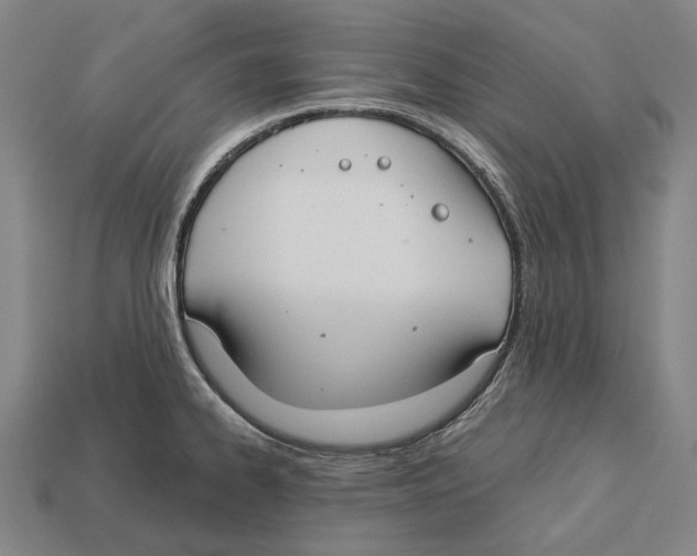 X0000113081334200909250942