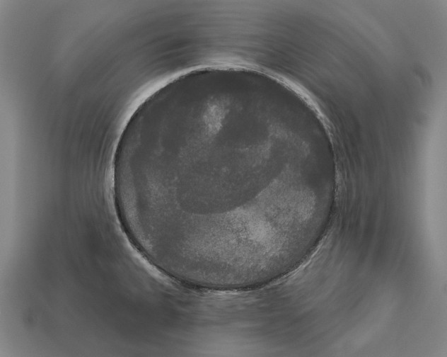 X0000113081335200909250942