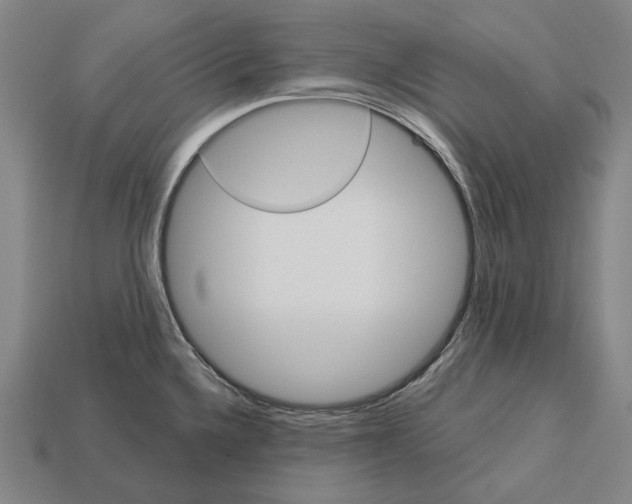 X0000113081336200909250942