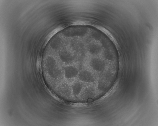 X0000113081337200909250942