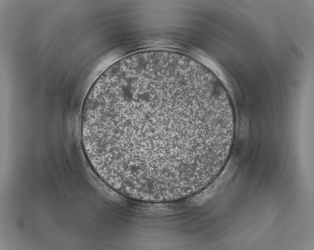 X0000113081338200909250942
