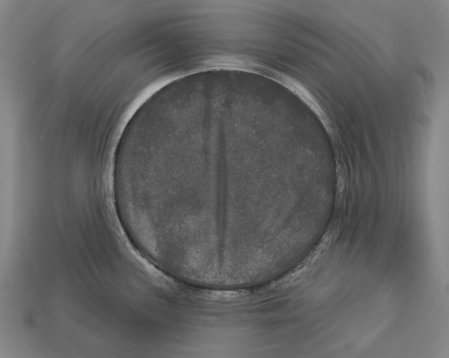 X0000113081339200909250942