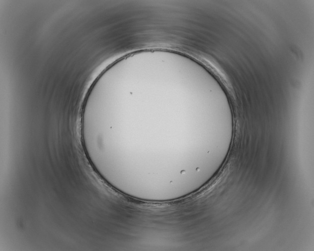 X0000113081340200909250942