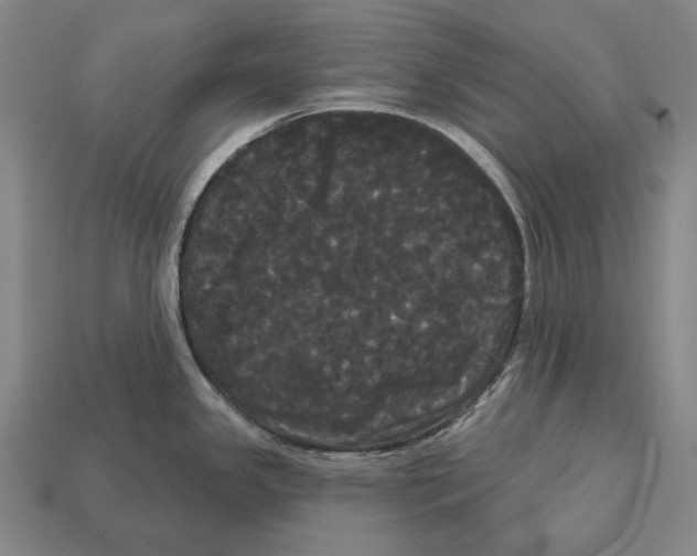 X0000113081341200909250942