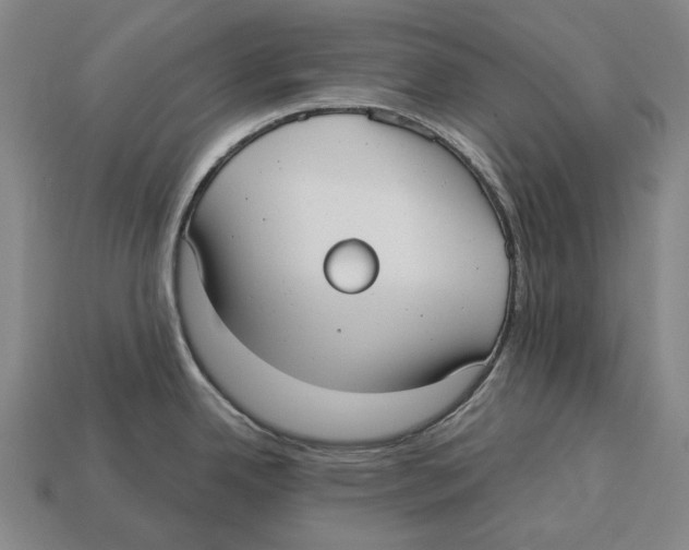X0000113081342200909250942