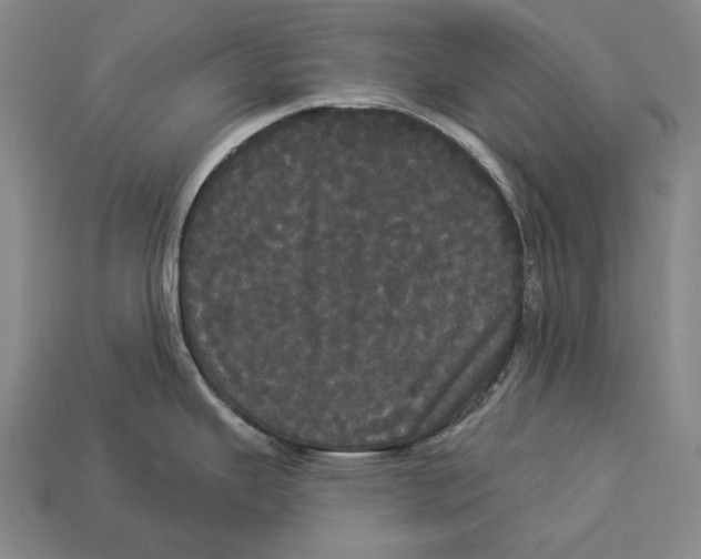 X0000113081343200909250942
