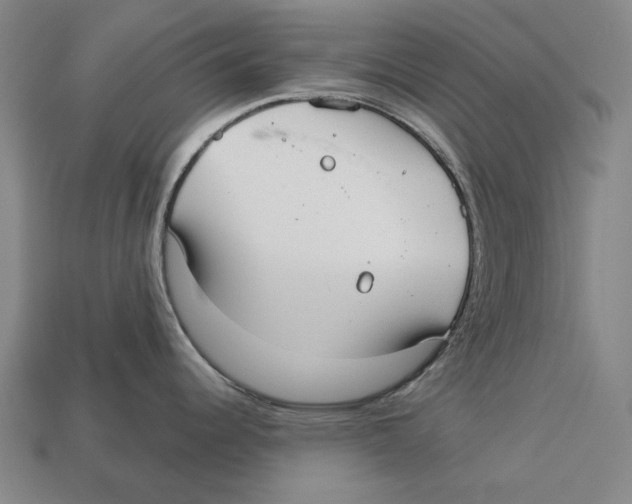 X0000113081344200909250942