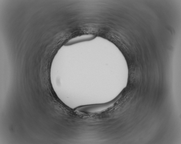 X0000113081345200909250941