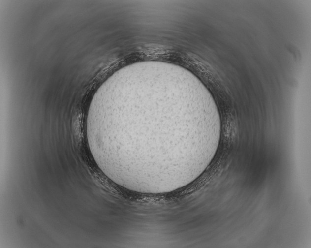 X0000113081346200909250941