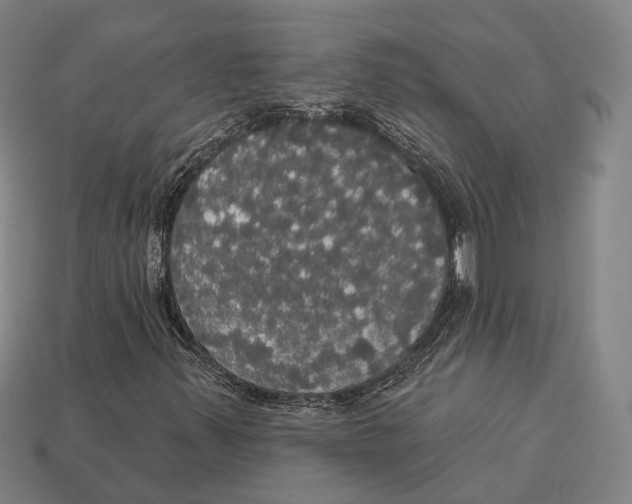 X0000113081347200909250941